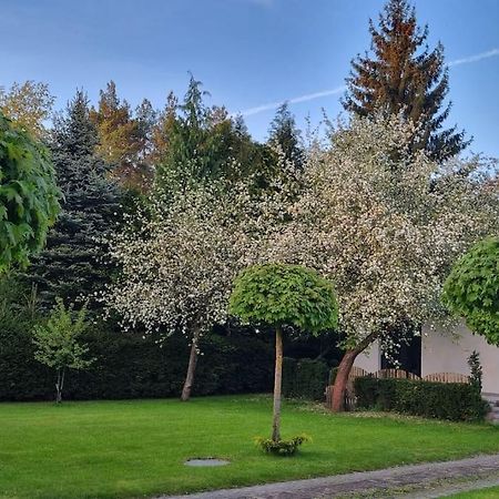 Willa Pod Jablonia Bydgoszcz Zewnętrze zdjęcie