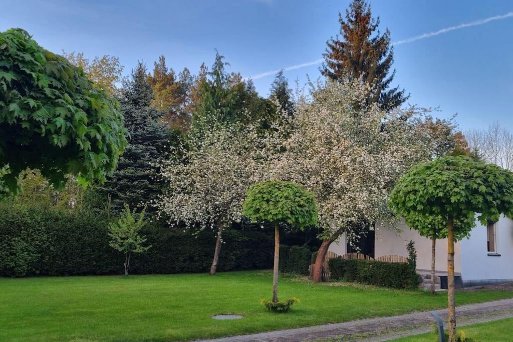 Willa Pod Jablonia Bydgoszcz Zewnętrze zdjęcie