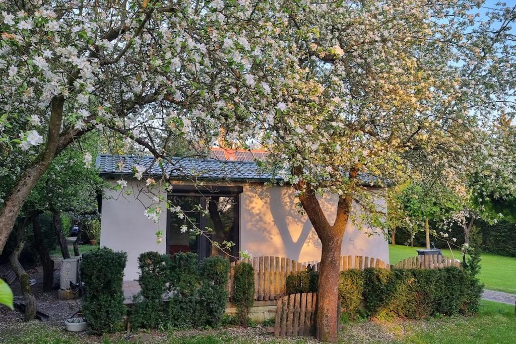 Willa Pod Jablonia Bydgoszcz Zewnętrze zdjęcie